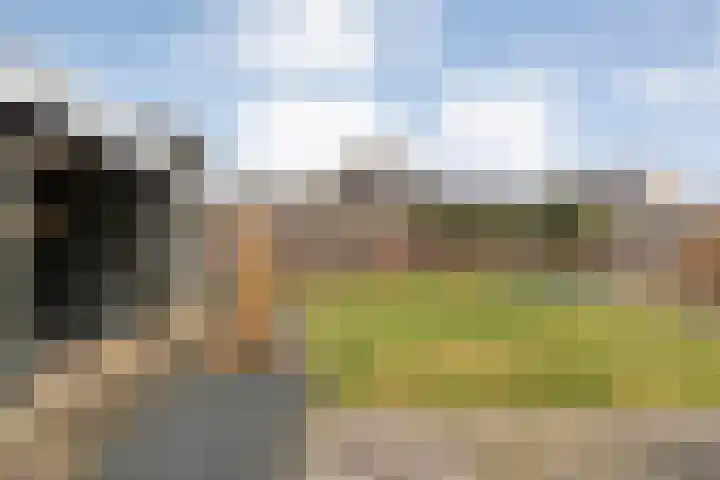 Smetanahof 12 Dedemsvaart thumbnail 51