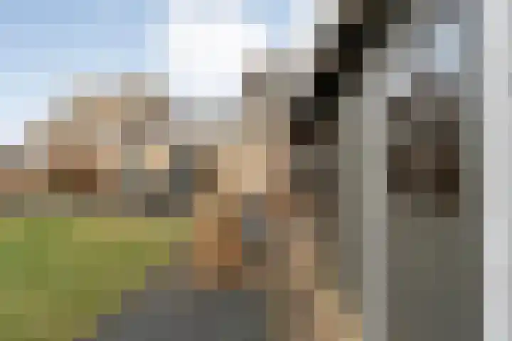 Smetanahof 12 Dedemsvaart thumbnail 53