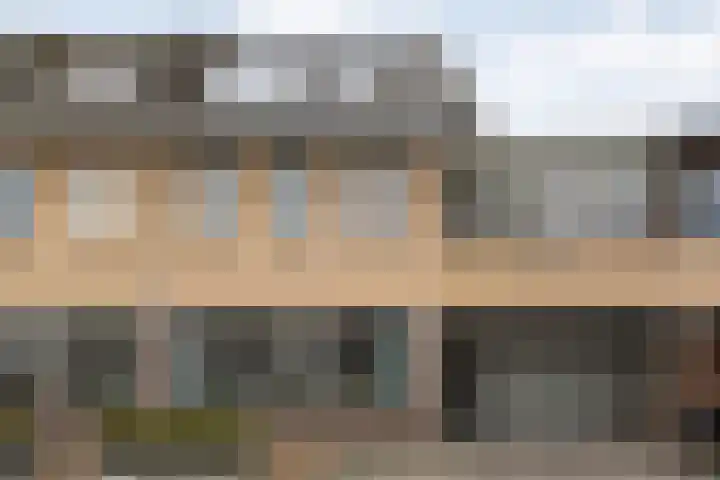 Smetanahof 12 Dedemsvaart thumbnail 59