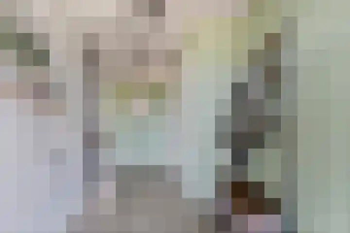 Smetanahof 12 Dedemsvaart thumbnail 6