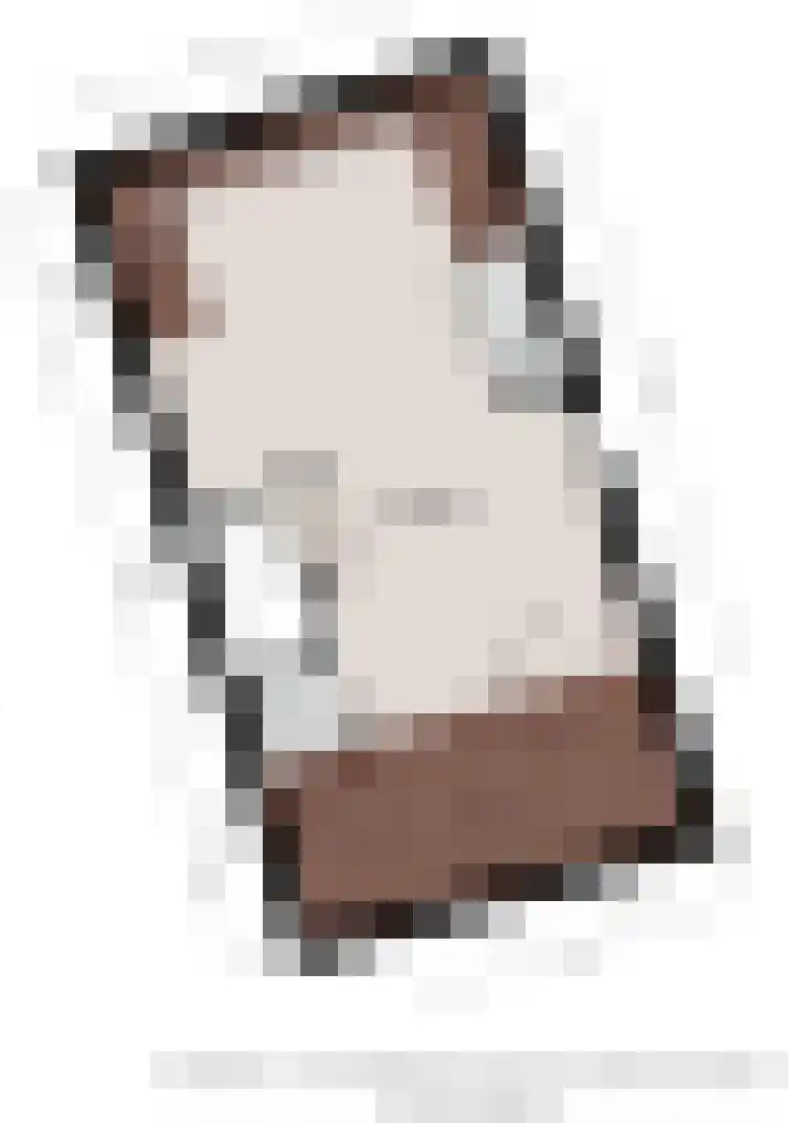 Smetanahof 12 Dedemsvaart thumbnail 62