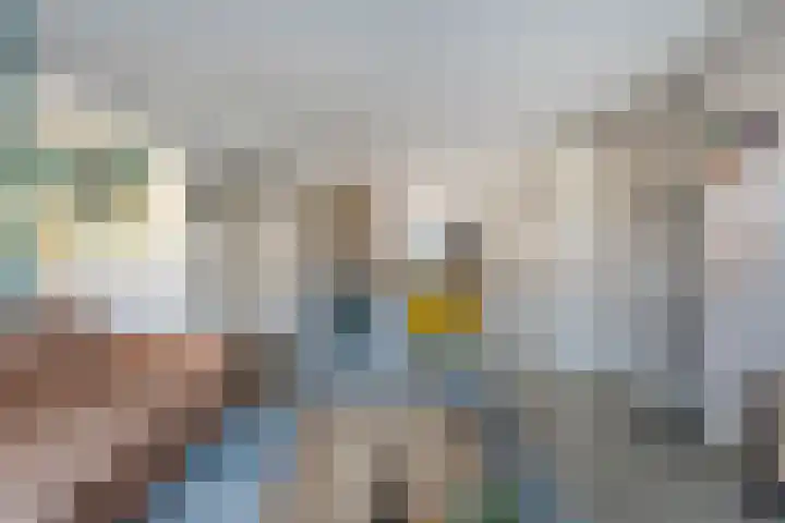 Smetanahof 12 Dedemsvaart thumbnail 9