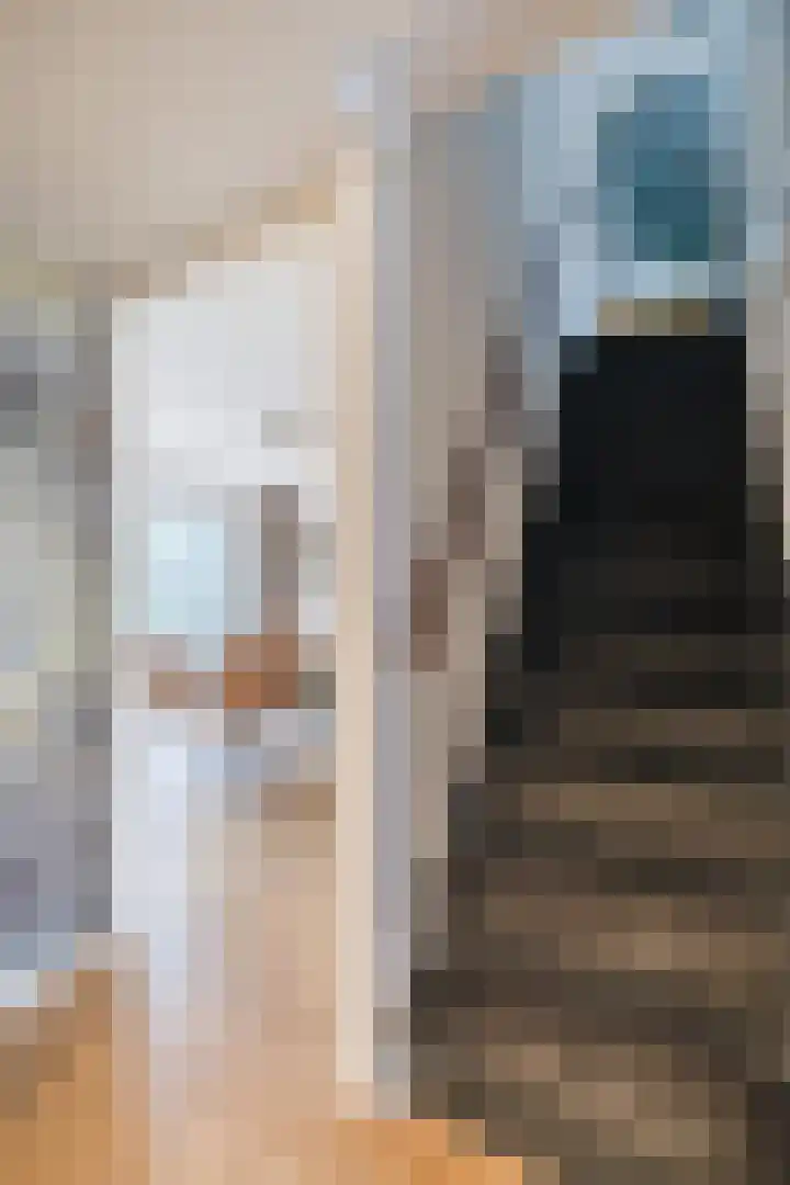 Smetanahof 19 Dedemsvaart thumbnail 10