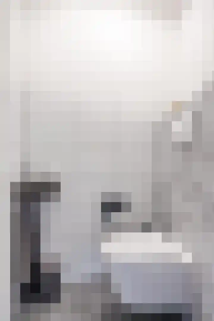 Smetanahof 19 Dedemsvaart thumbnail 13