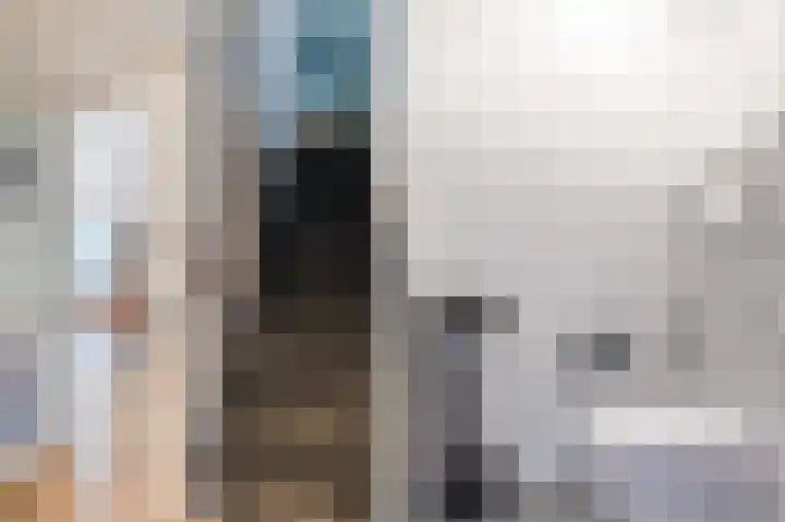 Smetanahof 19 Dedemsvaart thumbnail 14