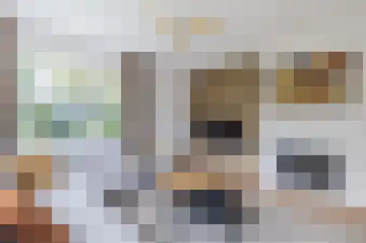 Smetanahof 19 Dedemsvaart thumbnail 16