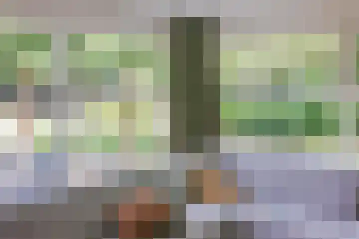 Smetanahof 19 Dedemsvaart thumbnail 17