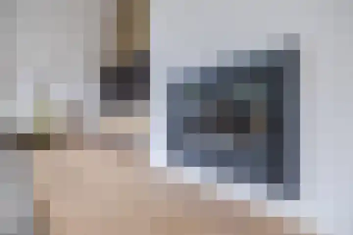 Smetanahof 19 Dedemsvaart thumbnail 18