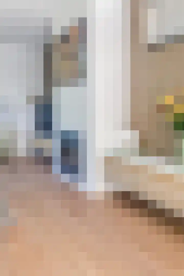 Smetanahof 19 Dedemsvaart thumbnail 19