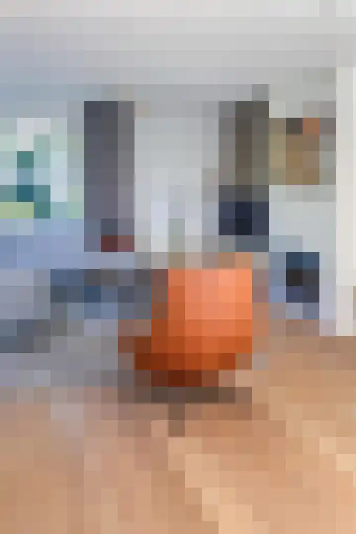 Smetanahof 19 Dedemsvaart thumbnail 20
