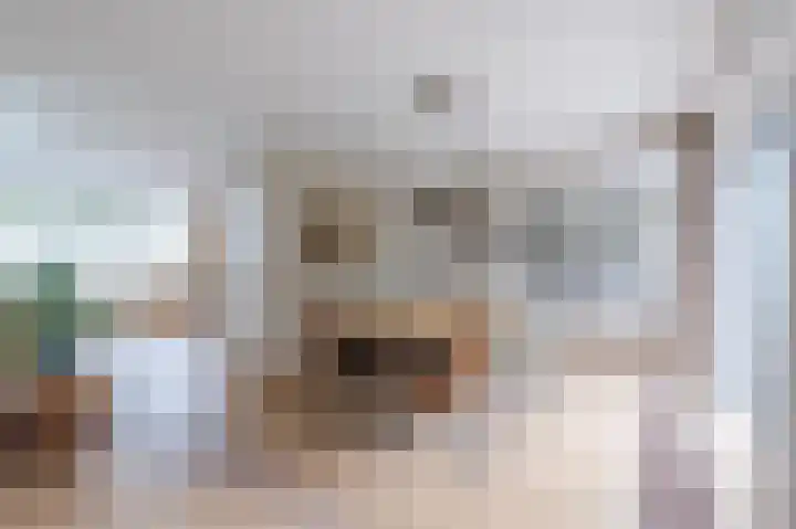 Smetanahof 19 Dedemsvaart thumbnail 21