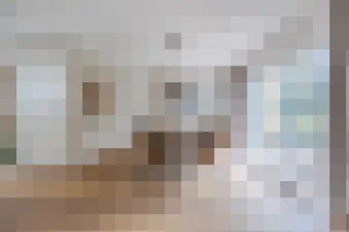 Smetanahof 19 Dedemsvaart thumbnail 22