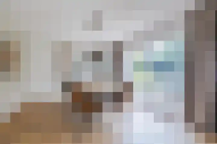 Smetanahof 19 Dedemsvaart thumbnail 23