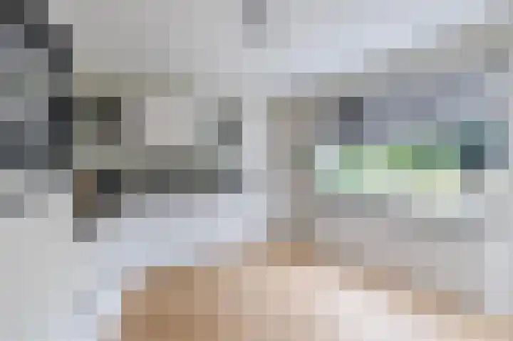 Smetanahof 19 Dedemsvaart thumbnail 25