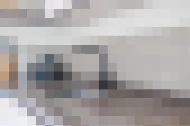 Smetanahof 19 Dedemsvaart thumbnail 27