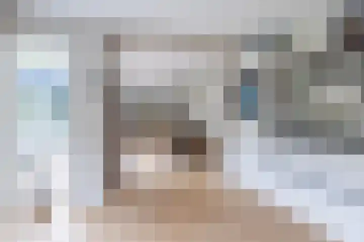 Smetanahof 19 Dedemsvaart thumbnail 28