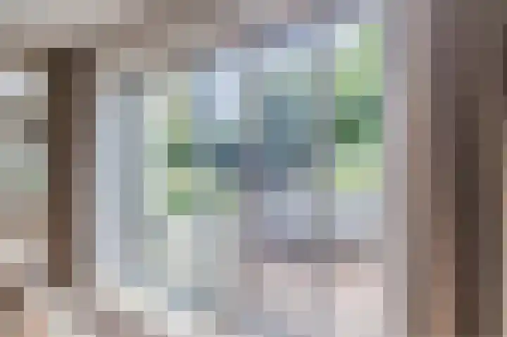 Smetanahof 19 Dedemsvaart thumbnail 31