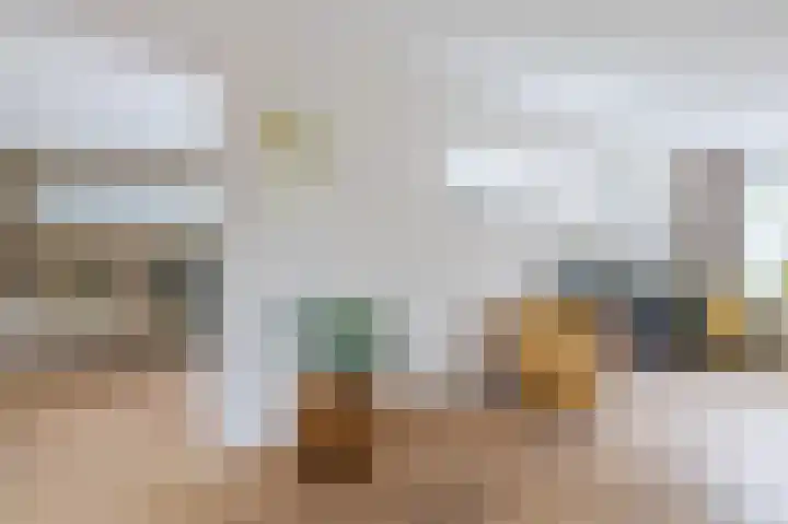 Smetanahof 19 Dedemsvaart thumbnail 36