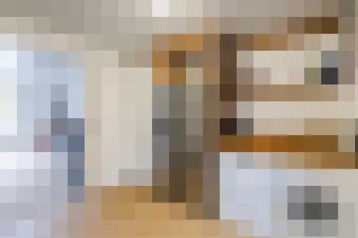 Smetanahof 19 Dedemsvaart thumbnail 37