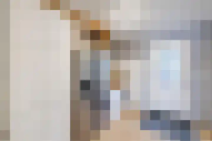 Smetanahof 19 Dedemsvaart thumbnail 38