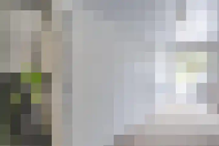 Smetanahof 19 Dedemsvaart thumbnail 39
