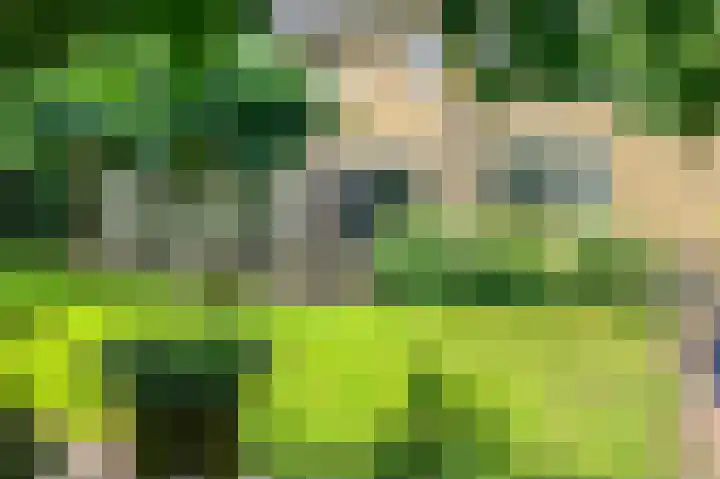 Smetanahof 19 Dedemsvaart thumbnail 4