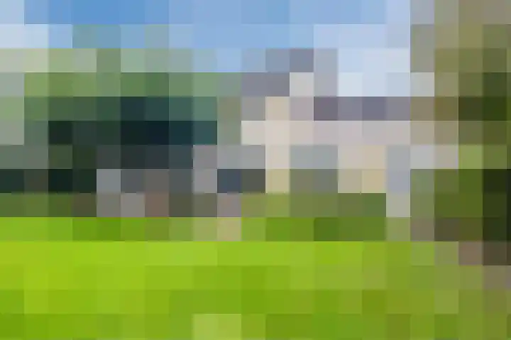 Smetanahof 19 Dedemsvaart thumbnail 5