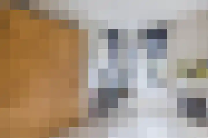 Smetanahof 19 Dedemsvaart thumbnail 50