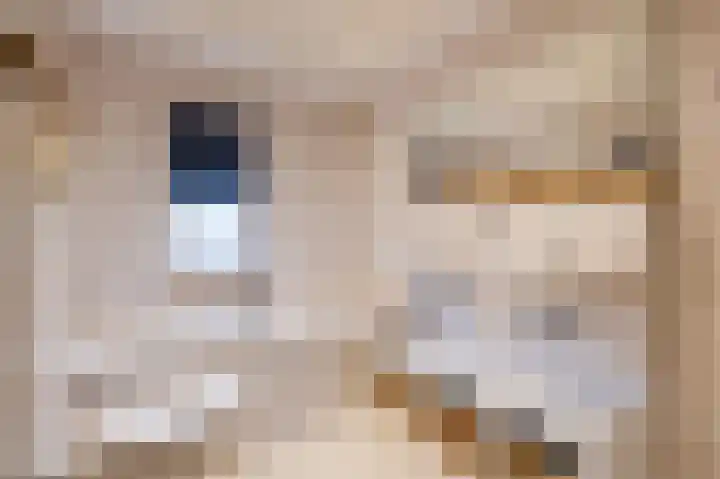 Smetanahof 19 Dedemsvaart thumbnail 52