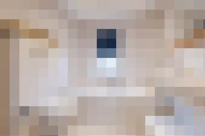 Smetanahof 19 Dedemsvaart thumbnail 53