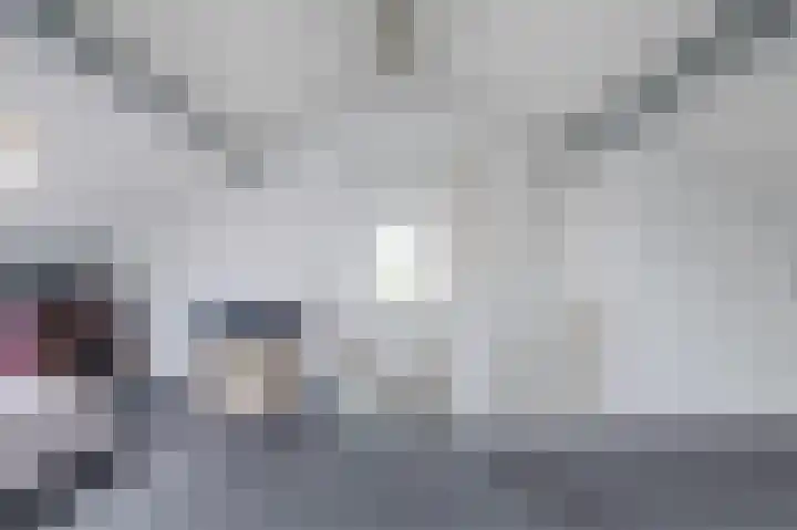 Smetanahof 19 Dedemsvaart thumbnail 55