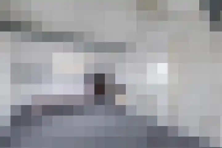 Smetanahof 19 Dedemsvaart thumbnail 56