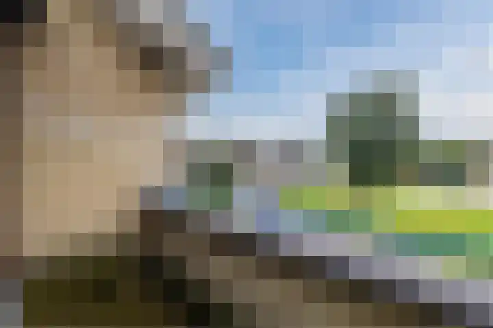 Smetanahof 19 Dedemsvaart thumbnail 58
