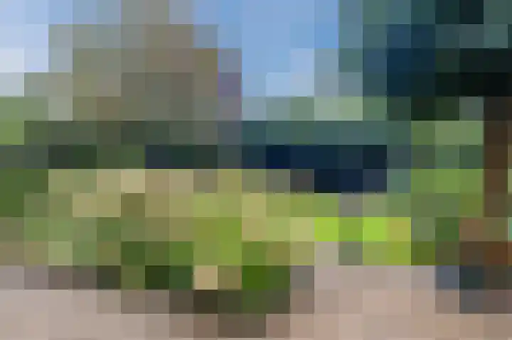 Smetanahof 19 Dedemsvaart thumbnail 60