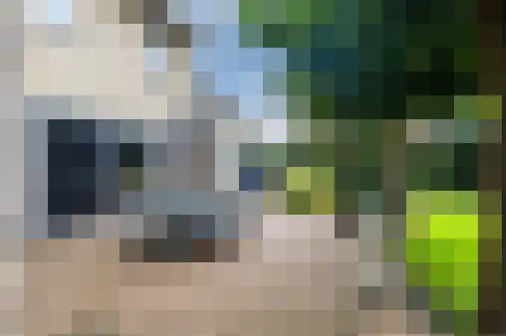 Smetanahof 19 Dedemsvaart thumbnail 61