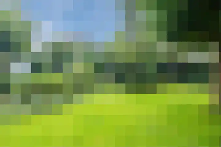Smetanahof 19 Dedemsvaart thumbnail 63