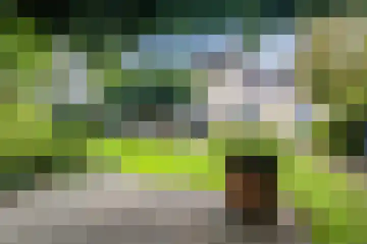 Smetanahof 19 Dedemsvaart thumbnail 68