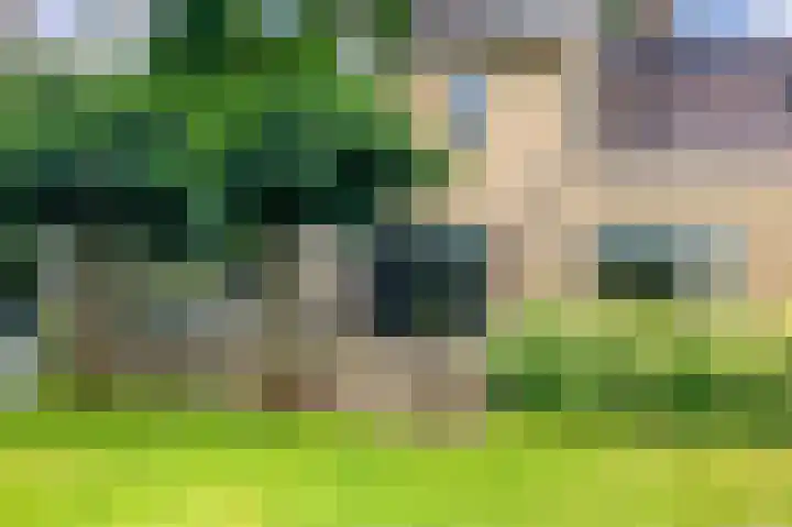 Smetanahof 19 Dedemsvaart thumbnail 71