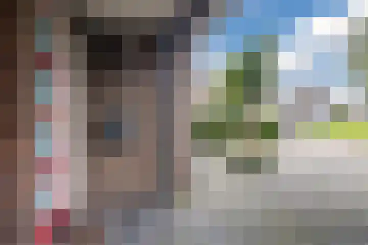 Smetanahof 19 Dedemsvaart thumbnail 8