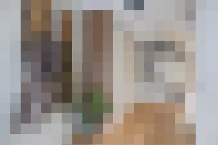 Smetanahof 19 Dedemsvaart thumbnail 9