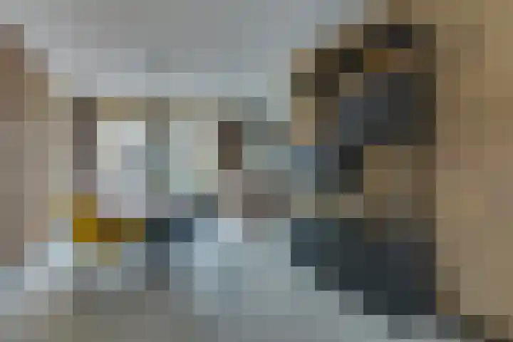 Smetanahof 20 Hoorn thumbnail 13