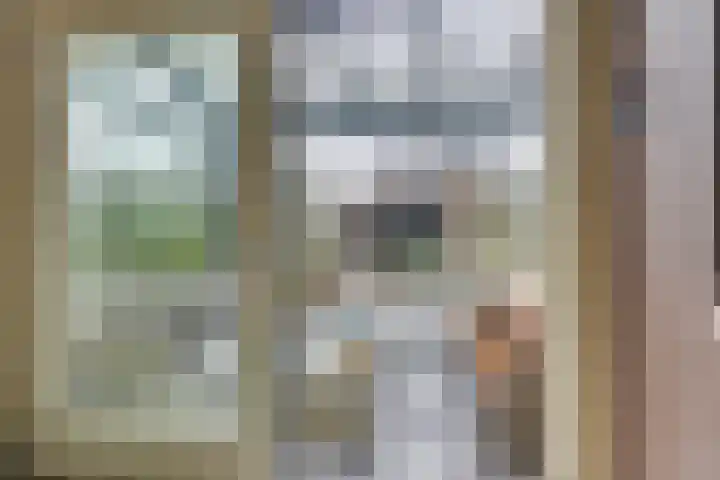 Smetanahof 20 Hoorn thumbnail 15