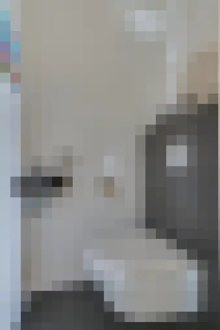 Smetanahof 20 Hoorn thumbnail 22