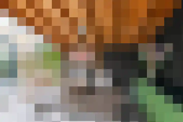 Smetanahof 20 Hoorn thumbnail 40