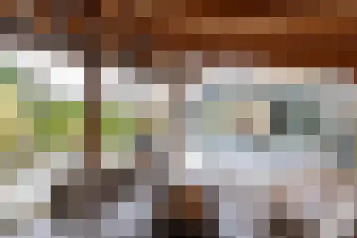 Smetanahof 20 Hoorn thumbnail 41