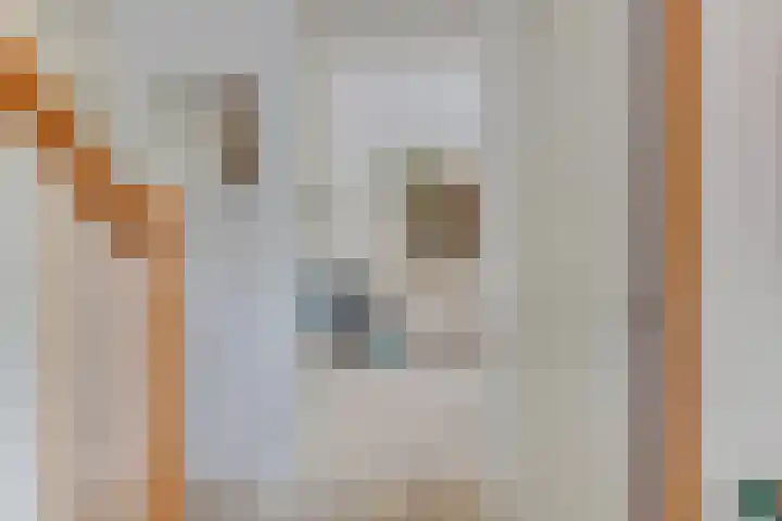 Smetanahof 25 Hoorn thumbnail 16