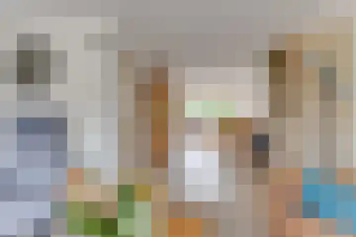 Smetanahof 25 Hoorn thumbnail 20