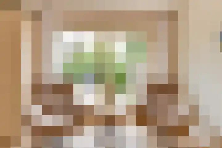 Smetanahof 25 Hoorn thumbnail 24