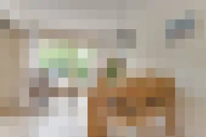 Smetanahof 25 Hoorn thumbnail 4