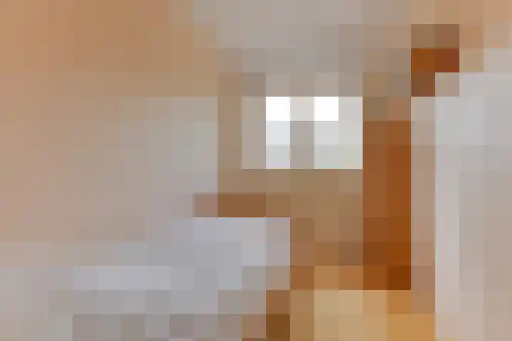 Smetanahof 25 Hoorn thumbnail 45